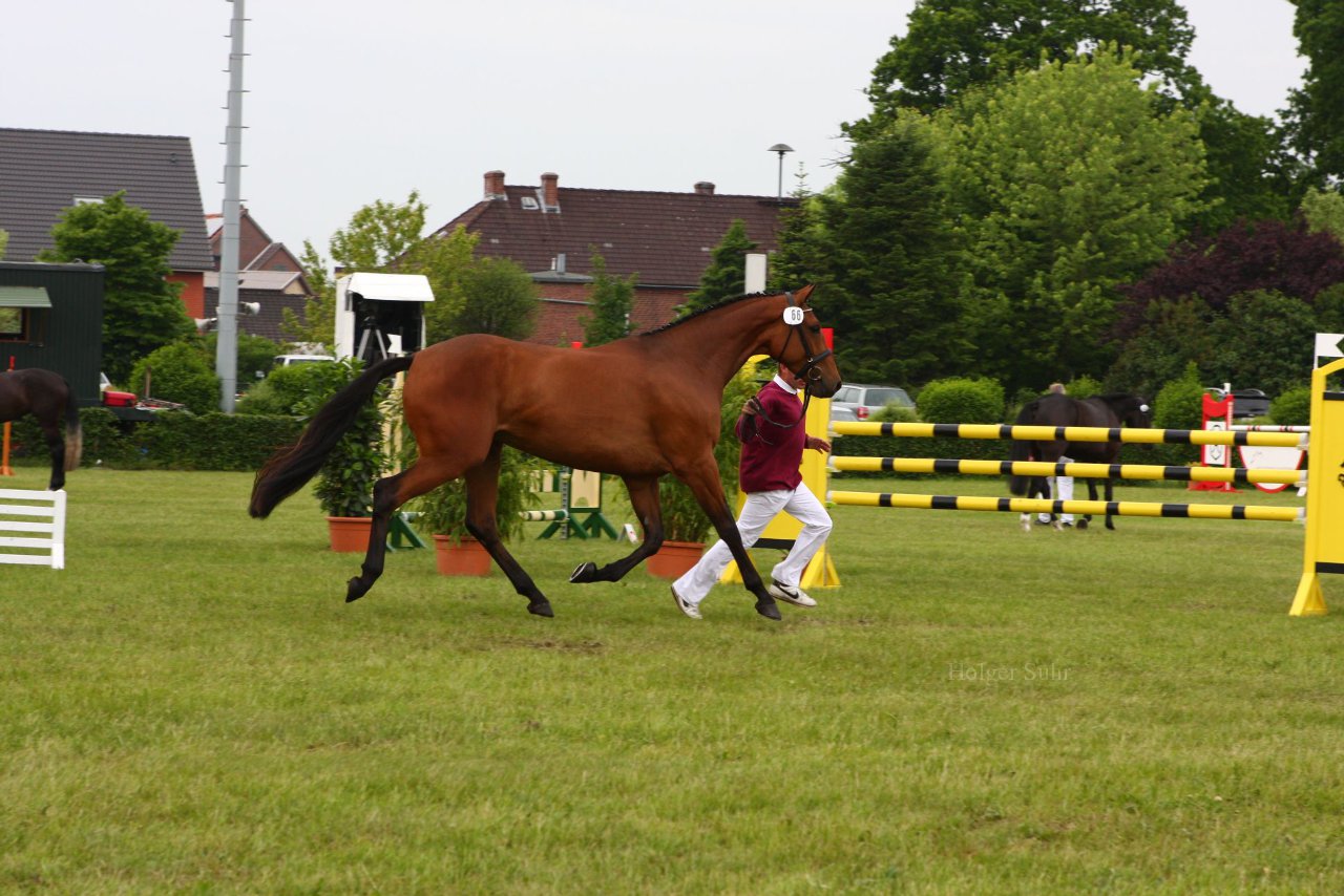 Bild 115 - Elmshorn am 9.6.10